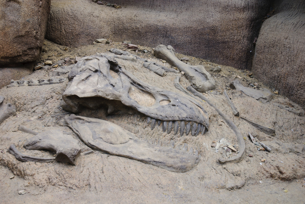 Paleontologist Names New Dinosaur Species After Ex