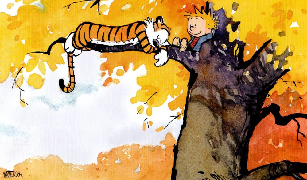 The Test of Time: A Random Sunday 'Calvin and Hobbes' Comic Strip