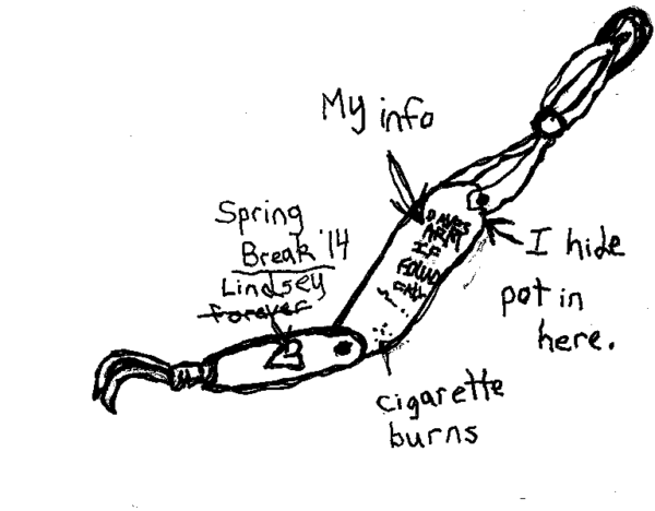 Drawing of arm