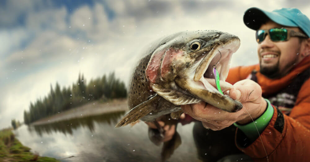 Man Fishing Trout