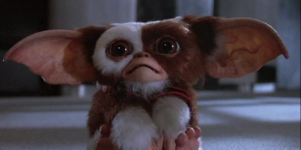 Mogwai