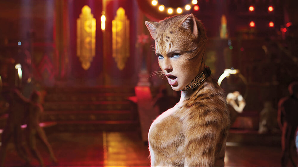 Taylor Swift Cats