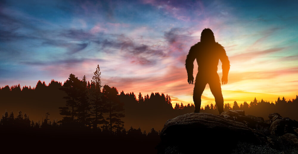 Bigfoot standing on rock