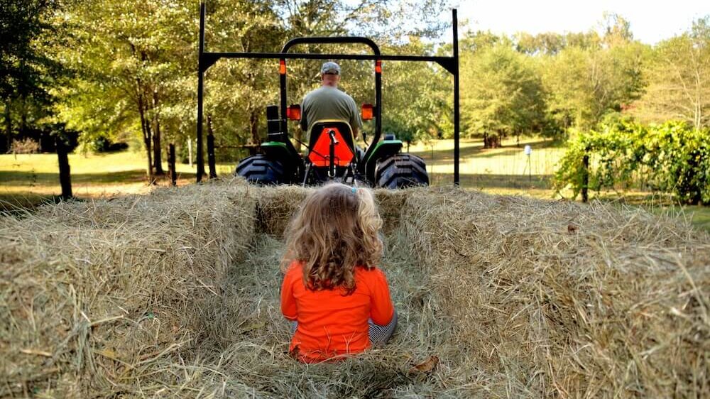 Haunted hayride