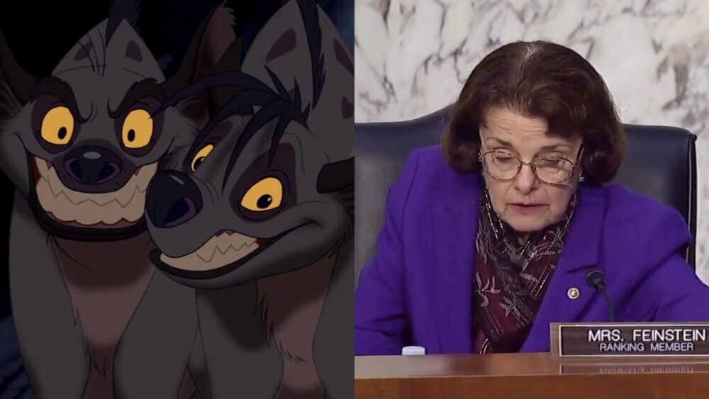 Feinstein Lion King