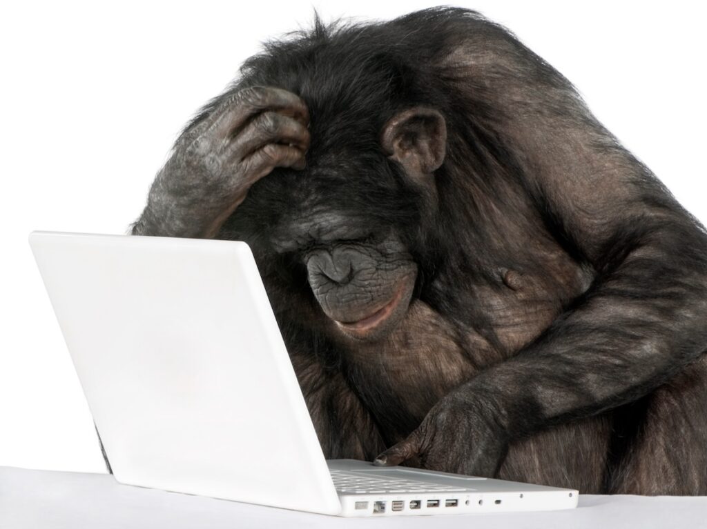 Chimpanzee typing on laptop